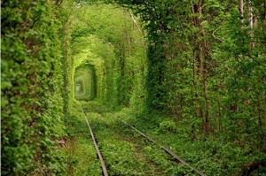 tunel-tren-verde